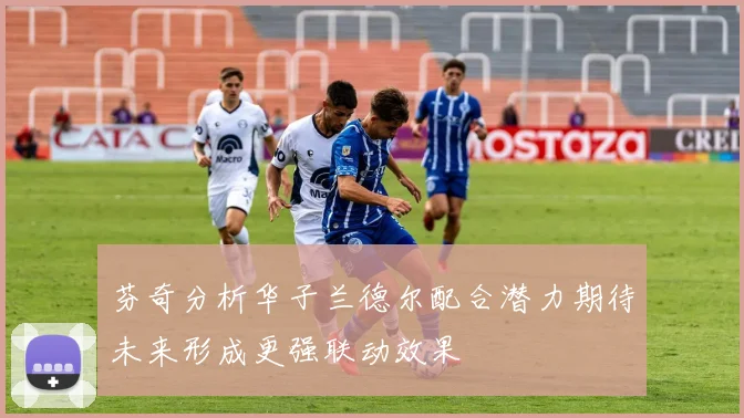 芬奇分析华子兰德尔配合潜力期待未来形成更强联动效果